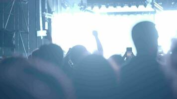 Strobe lights and excited music fans at the concert video