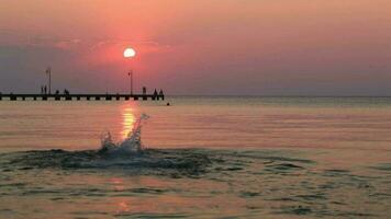 homme nager dans le mer à le coucher du soleil video