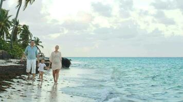 Parents and child walking along the beach holding hands video