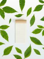 Directly above view of blank notebook with green leaf on white background. photo