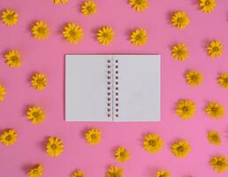 Directly above view of blank notebook with orange flower on pink  background. photo