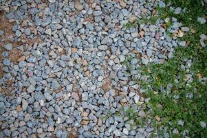 Green leaf and black rock texture for natural background photo