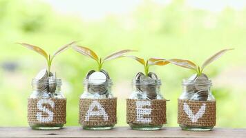 Saving money for business and finance concept. Plants growing up on money jar. photo