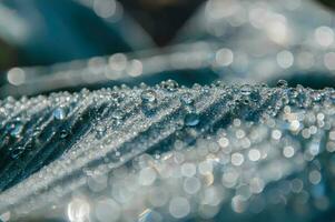 Water drops on leaf for background. photo