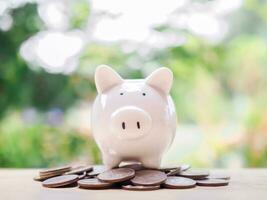 Piggy bank and stack of coins. The concept of save money for prepare in the future. photo