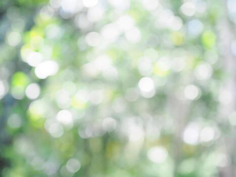 Abstract green color with shiny light for natural background photo