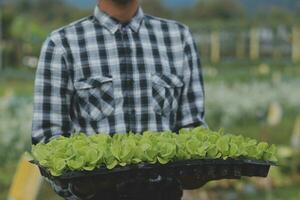 manos participación grande plato con diferente Fresco granja vegetales. otoño cosecha y sano orgánico comida concepto foto