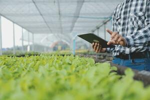 In the Industrial Greenhouse Two Agricultural Engineers Test Plants Health and Analyze Data with Tablet Computer. photo