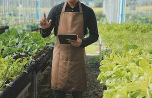 In the Industrial Greenhouse Two Agricultural Engineers Test Plants Health and Analyze Data with Tablet Computer. photo