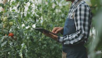 In the Industrial Greenhouse Two Agricultural Engineers Test Plants Health and Analyze Data with Tablet Computer. photo