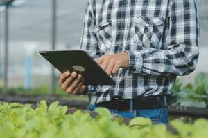en el industrial invernadero dos agrícola ingenieros prueba plantas salud y analizar datos con tableta computadora. foto