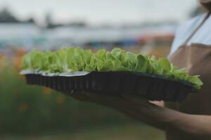 manos participación grande plato con diferente Fresco granja vegetales. otoño cosecha y sano orgánico comida concepto foto