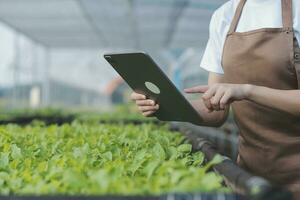 en el industrial invernadero dos agrícola ingenieros prueba plantas salud y analizar datos con tableta computadora. foto