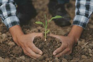 Symbol heart earth day. Handful of dirt hands heart shape. Farm organic earth. Farmer hands soil ground earth dirt garden soil farm ground. Male hands full of fertile land field agriculture concept photo