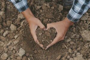 Symbol heart earth day. Handful of dirt hands heart shape. Farm organic earth. Farmer hands soil ground earth dirt garden soil farm ground. Male hands full of fertile land field agriculture concept photo