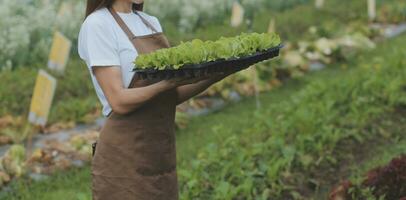 manos participación grande plato con diferente Fresco granja vegetales. otoño cosecha y sano orgánico comida concepto foto