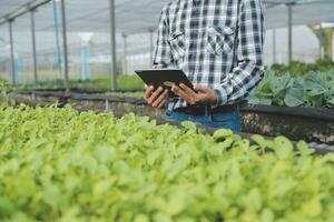 In the Industrial Greenhouse Two Agricultural Engineers Test Plants Health and Analyze Data with Tablet Computer. photo
