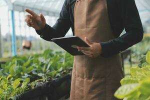 In the Industrial Greenhouse Two Agricultural Engineers Test Plants Health and Analyze Data with Tablet Computer. photo