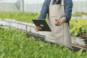 In the Industrial Greenhouse Two Agricultural Engineers Test Plants Health and Analyze Data with Tablet Computer. photo