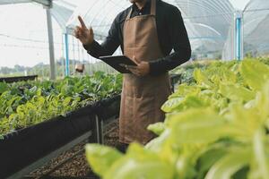 In the Industrial Greenhouse Two Agricultural Engineers Test Plants Health and Analyze Data with Tablet Computer. photo