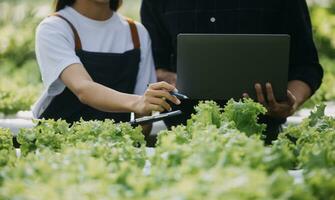 In the Industrial Greenhouse Two Agricultural Engineers Test Plants Health and Analyze Data with Tablet Computer. photo