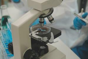 investigadores de atención médica que trabajan en el laboratorio de ciencias de la vida. joven científica investigadora y supervisora masculina senior preparando y analizando portaobjetos de microscopio en el laboratorio de investigación. foto