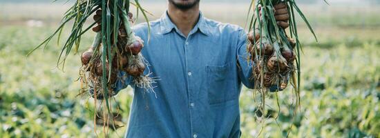 Agriculturist utilize the core data network in the Internet from the mobile to validate, test, and select the new crop method. Young farmers and tobacco farming photo