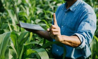 Agriculturist utilize the core data network in the Internet from the mobile to validate, test, and select the new crop method. Young farmers and tobacco farming photo