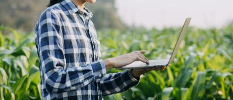 Agriculturist utilize the core data network in the Internet from the mobile to validate, test, and select the new crop method. Young farmers and tobacco farming photo