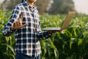 Agriculturist utilize the core data network in the Internet from the mobile to validate, test, and select the new crop method. Young farmers and tobacco farming photo