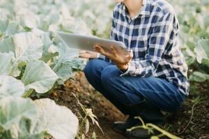 Agriculturist utilize the core data network in the Internet from the mobile to validate, test, and select the new crop method. Young farmers and tobacco farming photo