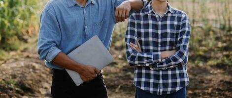 Agriculturist utilize the core data network in the Internet from the mobile to validate, test, and select the new crop method. Young farmers and tobacco farming photo
