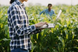 Agriculturist utilize the core data network in the Internet from the mobile to validate, test, and select the new crop method. Young farmers and tobacco farming photo