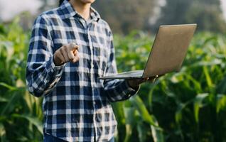 Agriculturist utilize the core data network in the Internet from the mobile to validate, test, and select the new crop method. Young farmers and tobacco farming photo