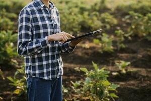 Agriculturist utilize the core data network in the Internet from the mobile to validate, test, and select the new crop method. Young farmers and tobacco farming photo