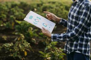 Agriculturist utilize the core data network in the Internet from the mobile to validate, test, and select the new crop method. Young farmers and tobacco farming photo