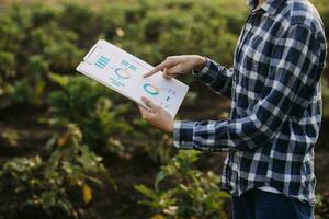 Agriculturist utilize the core data network in the Internet from the mobile to validate, test, and select the new crop method. Young farmers and tobacco farming photo