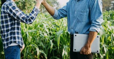 Agriculturist utilize the core data network in the Internet from the mobile to validate, test, and select the new crop method. Young farmers and tobacco farming photo