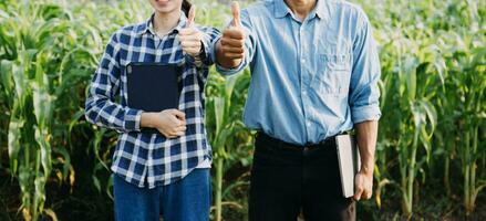 Agriculturist utilize the core data network in the Internet from the mobile to validate, test, and select the new crop method. Young farmers and tobacco farming photo