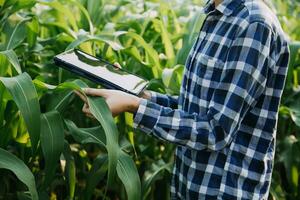 Agriculturist utilize the core data network in the Internet from the mobile to validate, test, and select the new crop method. Young farmers and tobacco farming photo
