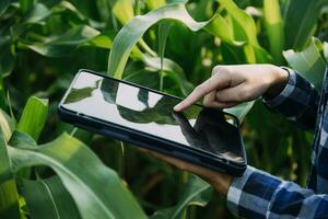 Agriculturist utilize the core data network in the Internet from the mobile to validate, test, and select the new crop method. Young farmers and tobacco farming photo