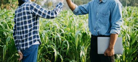 Agriculturist utilize the core data network in the Internet from the mobile to validate, test, and select the new crop method. Young farmers and tobacco farming photo