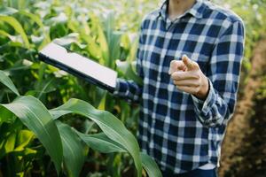 Agriculturist utilize the core data network in the Internet from the mobile to validate, test, and select the new crop method. Young farmers and tobacco farming photo