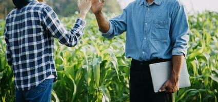 Agriculturist utilize the core data network in the Internet from the mobile to validate, test, and select the new crop method. Young farmers and tobacco farming photo