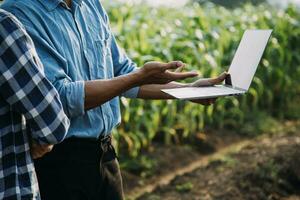 Agriculturist utilize the core data network in the Internet from the mobile to validate, test, and select the new crop method. Young farmers and tobacco farming photo