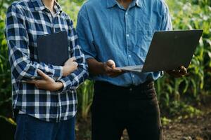 Agriculturist utilize the core data network in the Internet from the mobile to validate, test, and select the new crop method. Young farmers and tobacco farming photo