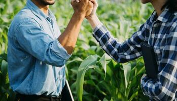 Agriculturist utilize the core data network in the Internet from the mobile to validate, test, and select the new crop method. Young farmers and tobacco farming photo