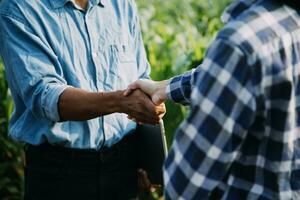 Agriculturist utilize the core data network in the Internet from the mobile to validate, test, and select the new crop method. Young farmers and tobacco farming photo