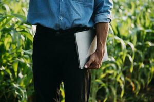 Agriculturist utilize the core data network in the Internet from the mobile to validate, test, and select the new crop method. Young farmers and tobacco farming photo