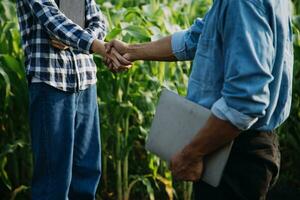 Agriculturist utilize the core data network in the Internet from the mobile to validate, test, and select the new crop method. Young farmers and tobacco farming photo